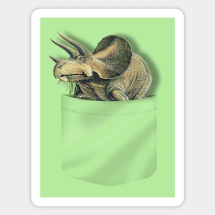 Pocket Triceratops Magnet